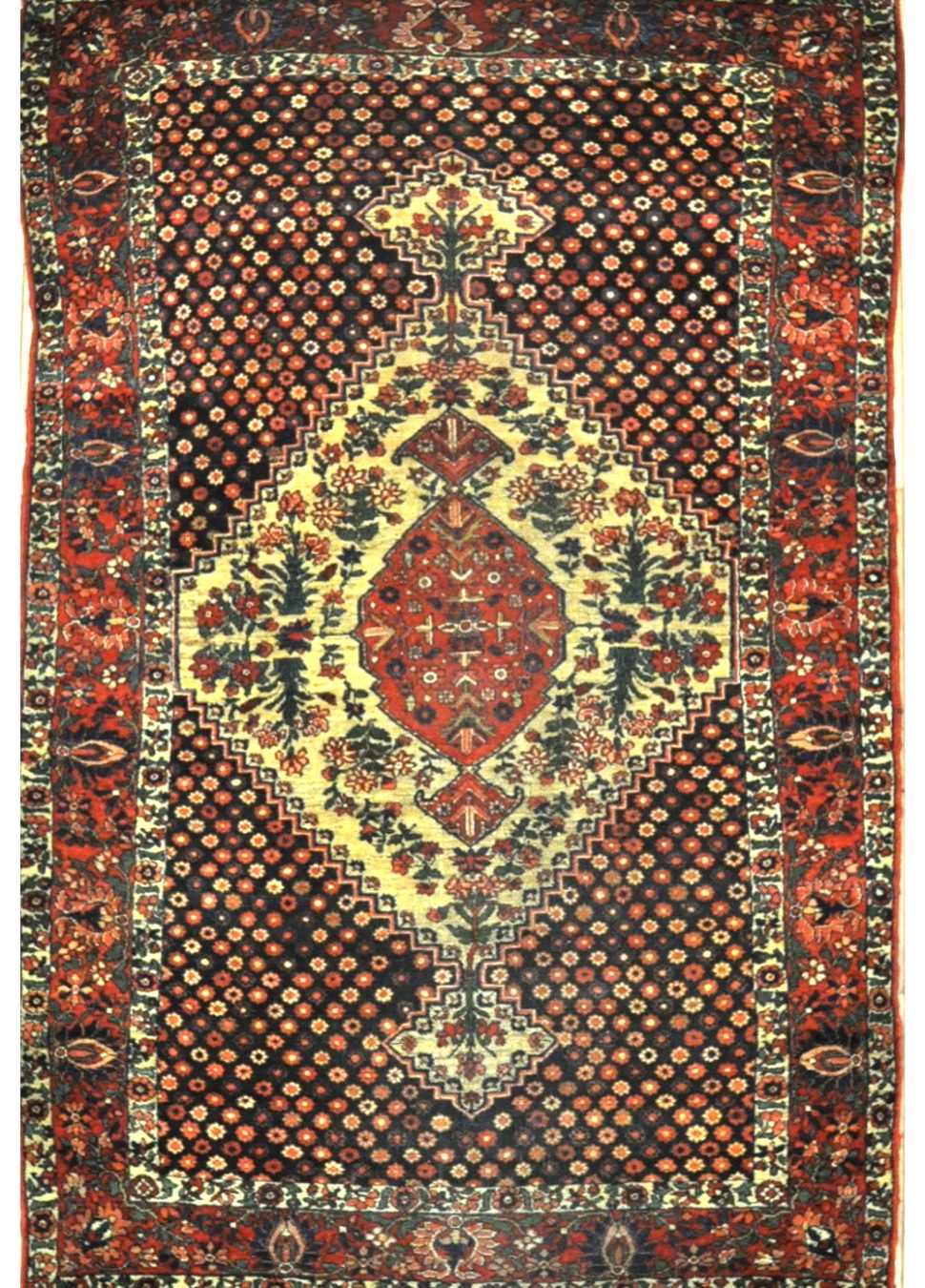 Fine Antique Persian Baktiary Rug