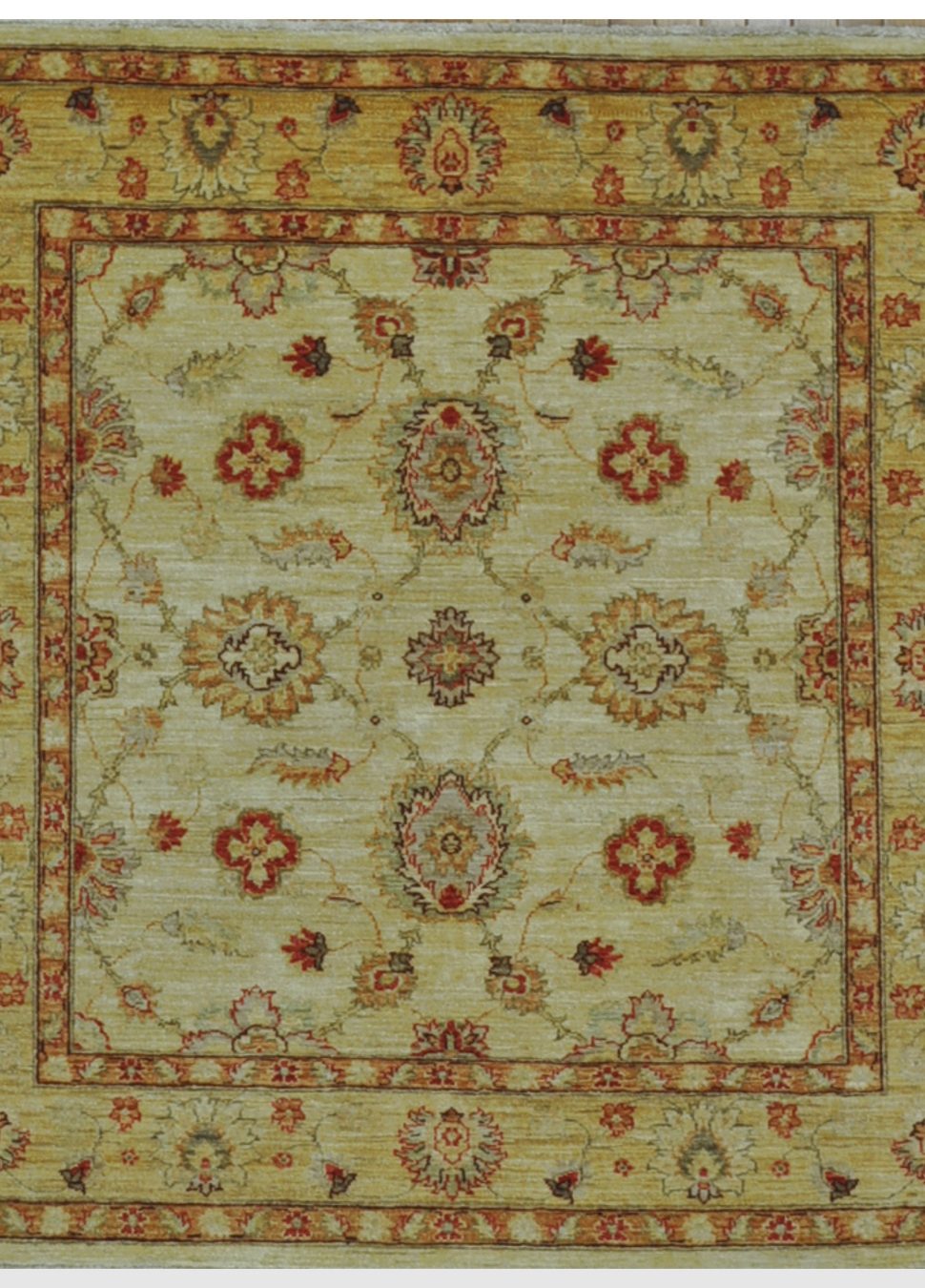 New Square Hand Knotted Rug