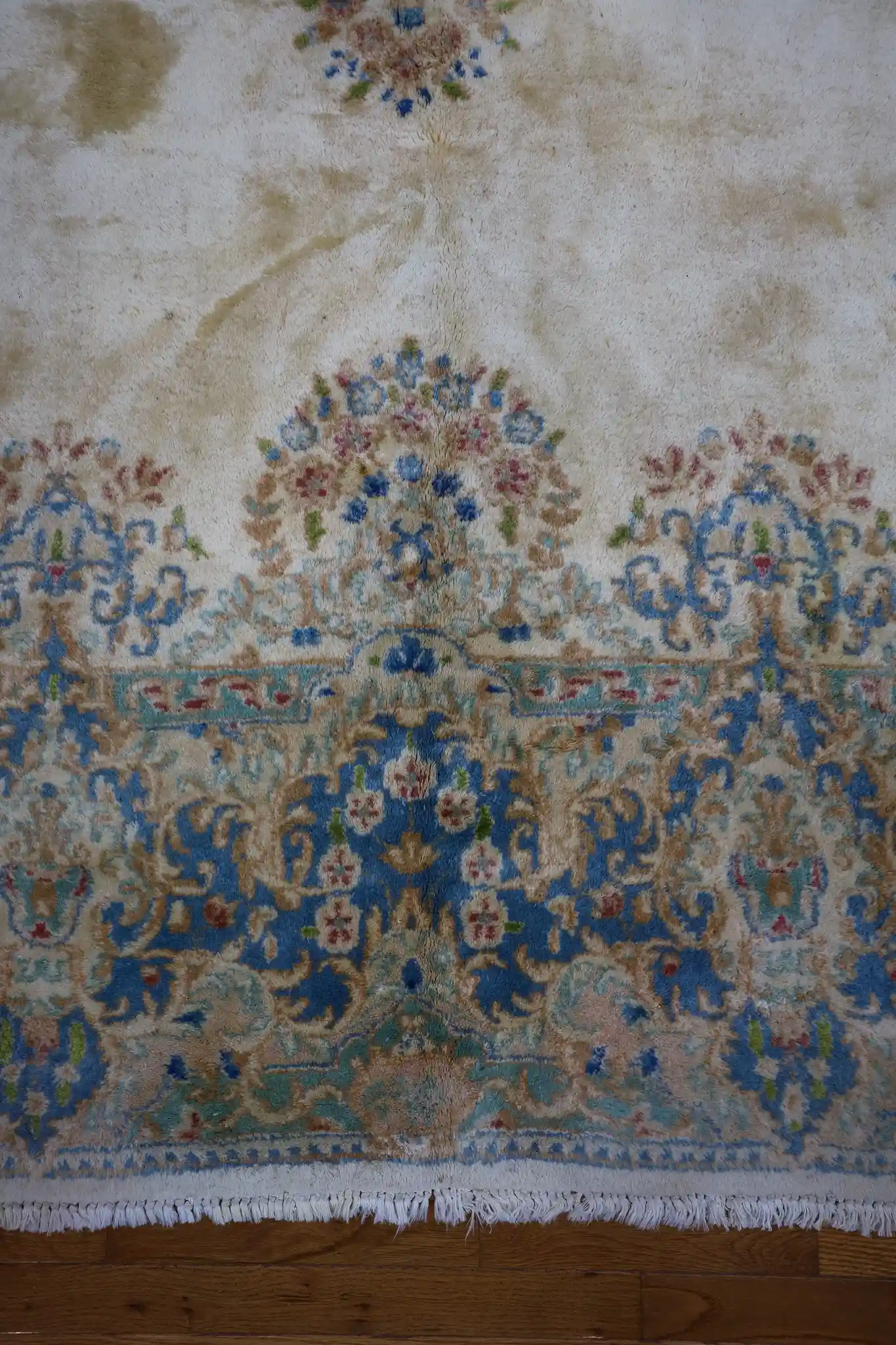 8' x 13' Ivory Fine Hand-Knotted Persian Kerman Rug – Traditional Wool - Image 7