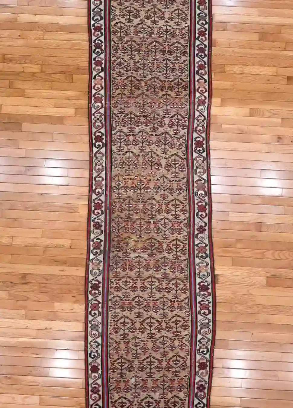 3′ x 13′ Beige Fine Hand-Knotted Persian Malayer Rug – Herati Runner Wool