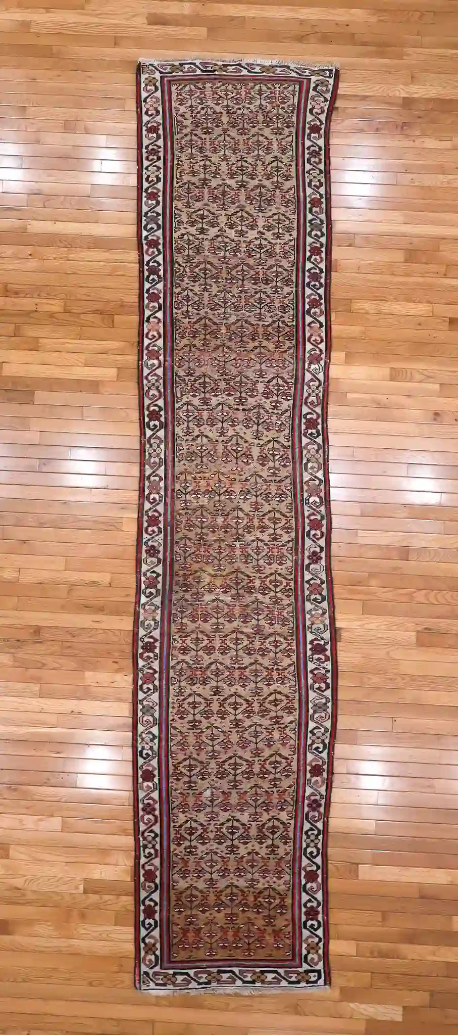 3' x 13' Beige Fine Hand-Knotted Persian Malayer Rug – Herati Runner Wool