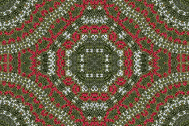 Oriental Rug Cleaning 2